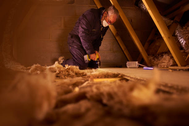 Best Geographic-Specific Insulation Services in Two Rivers, WI